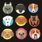 Preview: Design a Dog Cutter Set